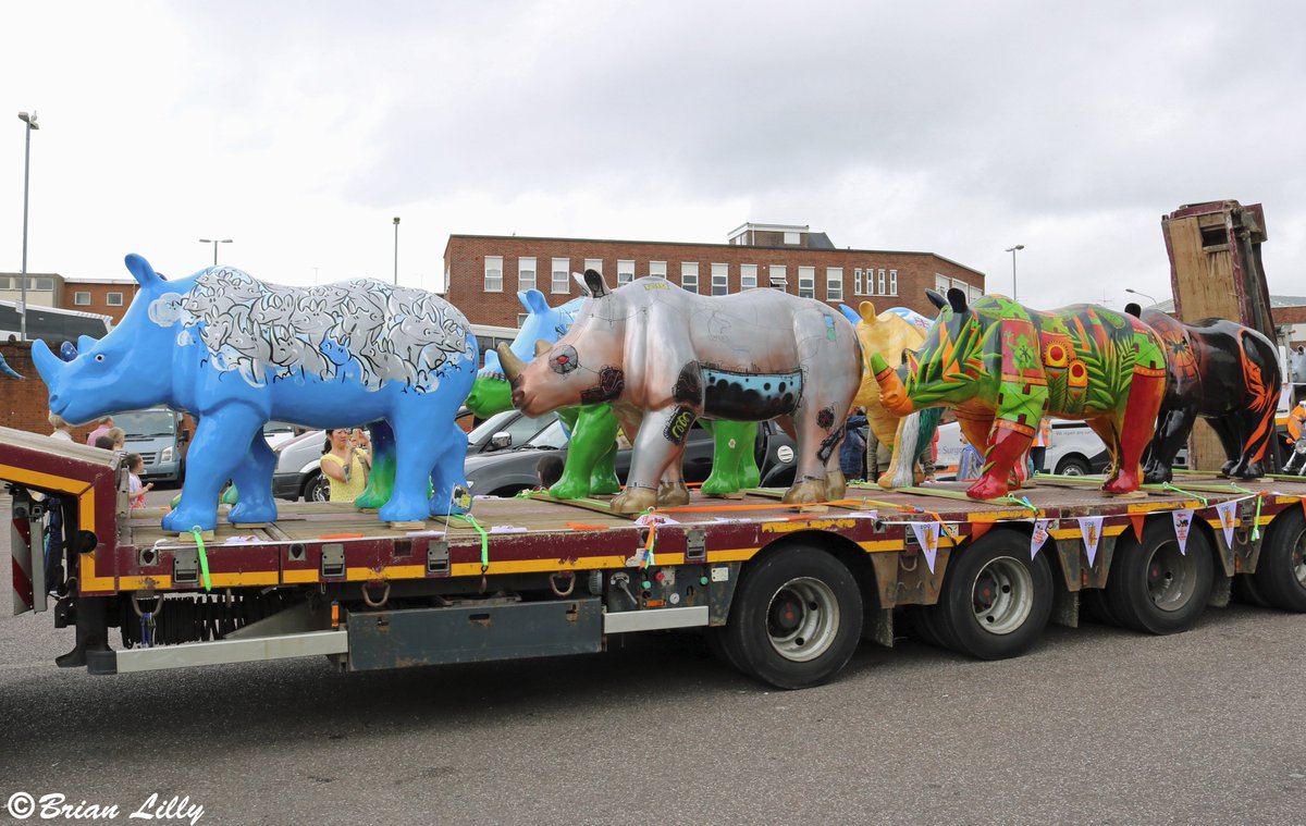 brglilly's tweet image. Some of the many #greatbigrhinos at Exeter Bus Station ready for their road trip @GreatBigRhinos @PaigntonZoo