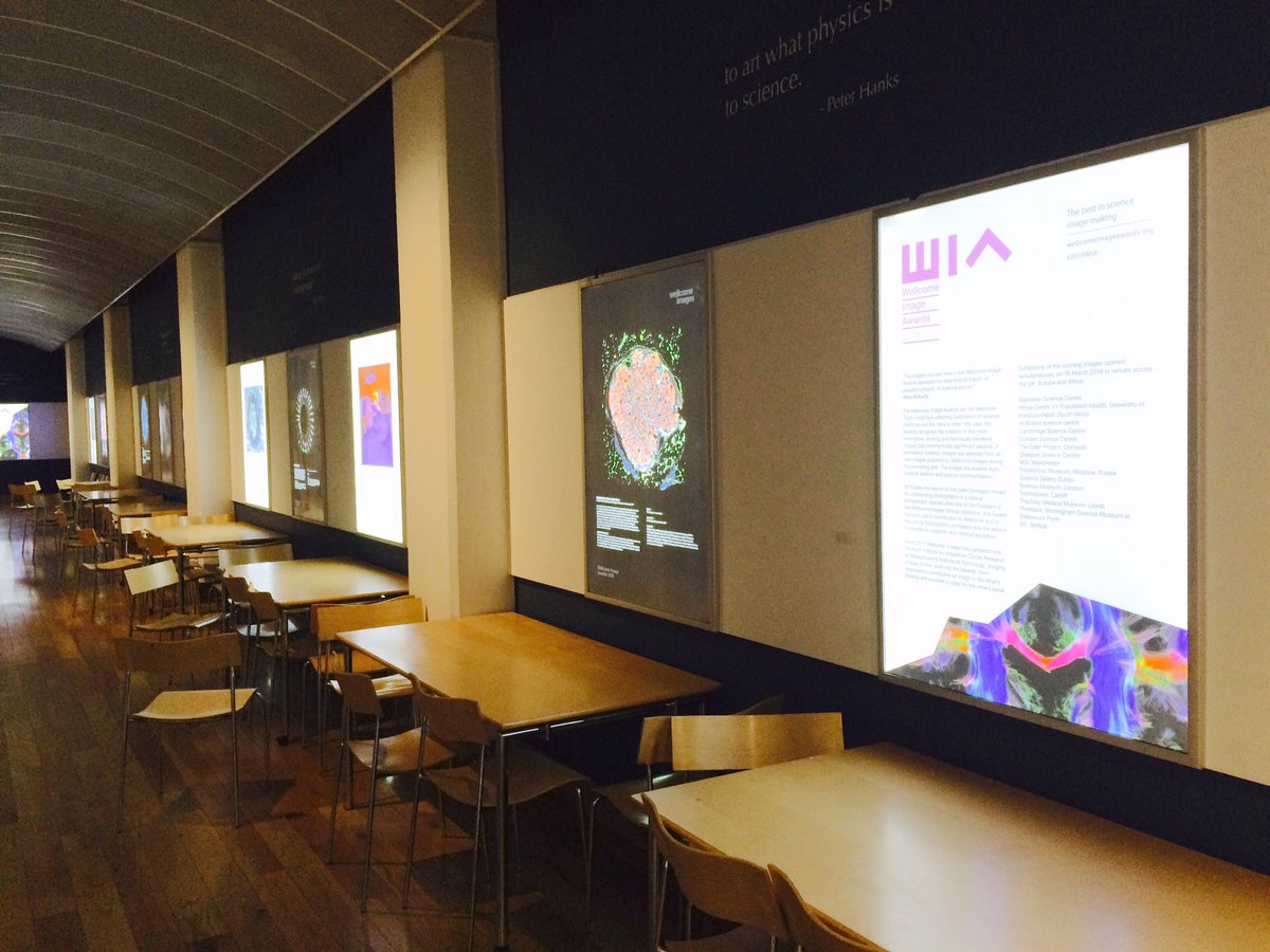 carly_dakin's tweet photo. #2016WIA still up @W5atodyssey in the 5th Floor Gallery until September https://t.co/V1ENO2mvCf