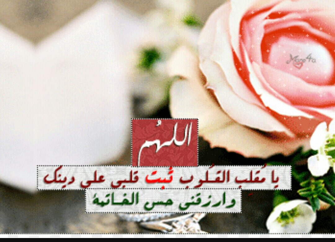 dorahMuhammed's tweet photo. https://t.co/jSTvCrRfj5