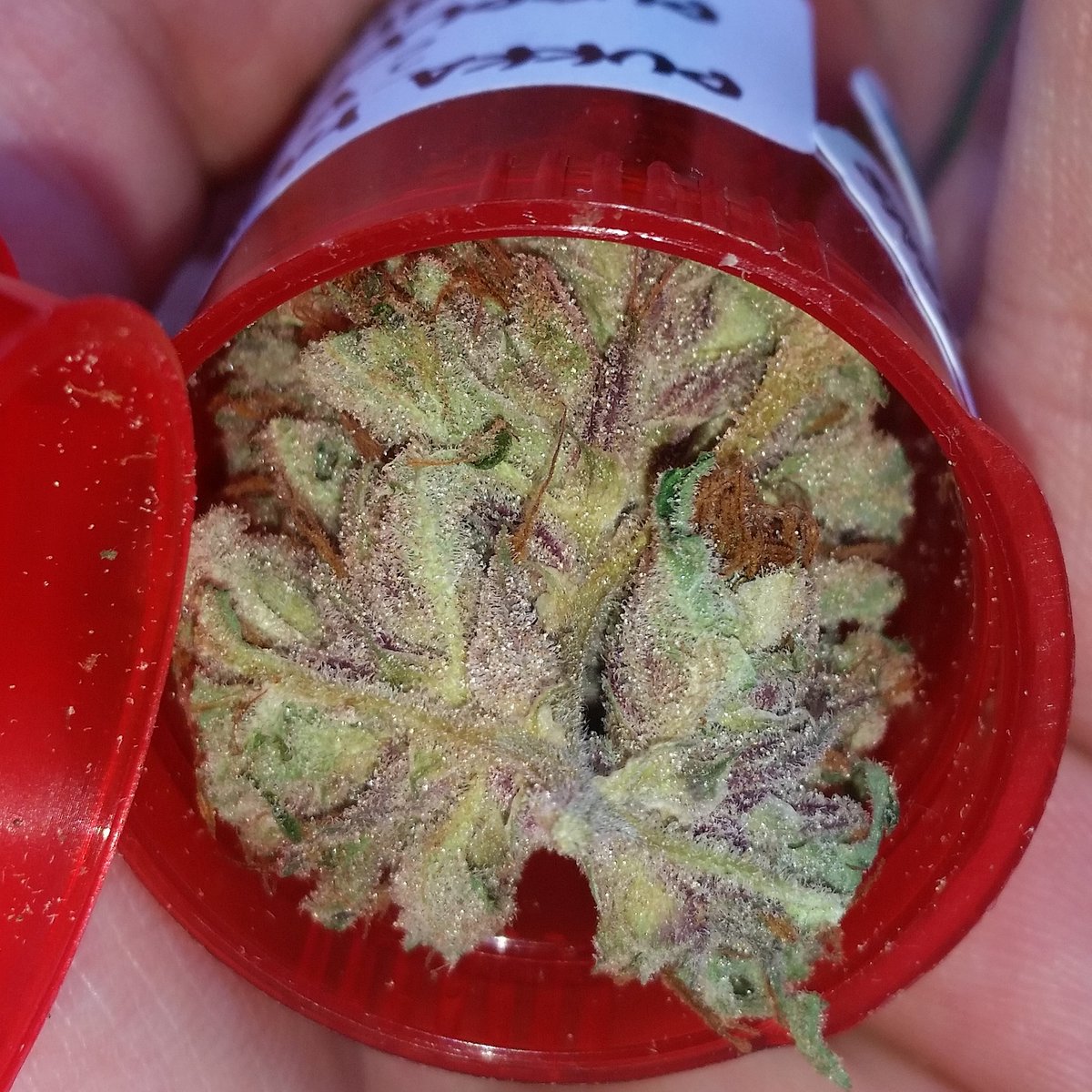 westmidzhigrade's tweet photo. #rainbowcookies #inhousegenetics #inhousearmy #superstrains #strainhunters #worldwide #uk #purple #pukka #legalize https://t.co/jhytDN69KT