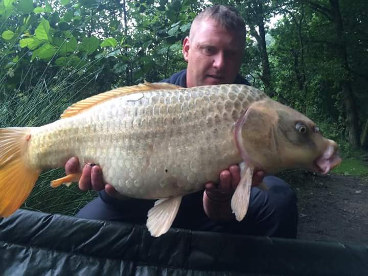 aw_tackle's tweet photo. https://t.co/YFkhmB8Y1h https://t.co/A4ae2Zb59k