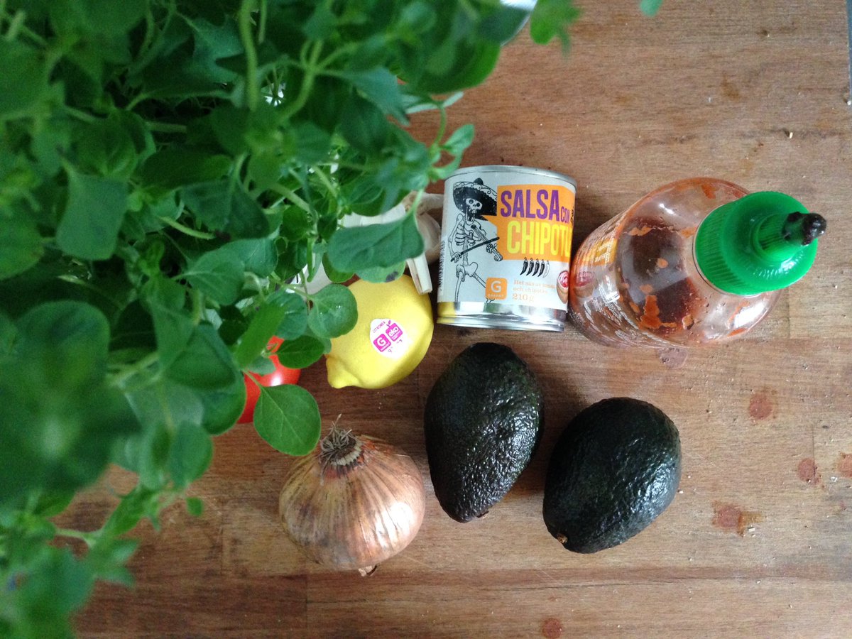 hasitleaked's tweet photo. It's guac-o-clock. As a guacamole virgin I'm going in hot. Hope everyone is having a fn great weekend #guacforleaks https://t.co/WvYROUms6A