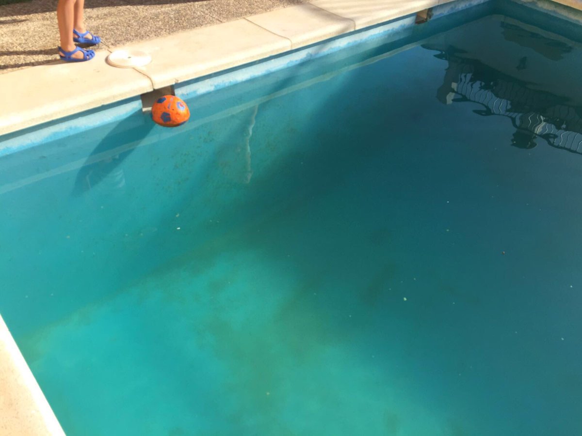 AdrianYanezEs's tweet photo. Nunca vayáis a Casa LaCabra en Monesterio.Piscina sucia y llena de piedras.Gracias a @Airbnb por responder a tiempo https://t.co/ElTn8CfDtD