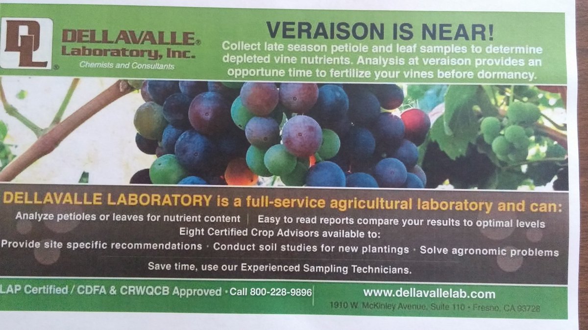 CaliSoils's tweet photo. #veraison @ZhuangGeorge @grapetweets https://t.co/ZwyWtfC0g2