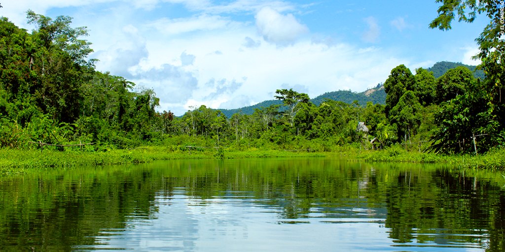 Thanks to <a href="/NatGeo/">National Geographic</a>, we present you “The smallest beasts of the #Peruvian #jungle”. Amazing isn´t it? #Peru