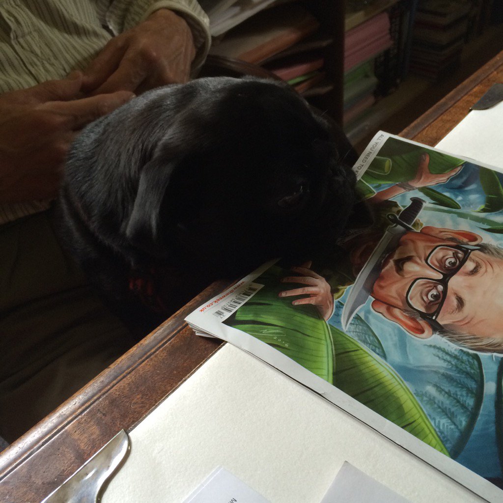 HMcTweet's tweet photo. Olive is my Pug niece. She is precious and brilliant as you can see. She works @antiquesatyorkT  w/her Mummy &amp; Daddy https://t.co/NArtfTOCuC