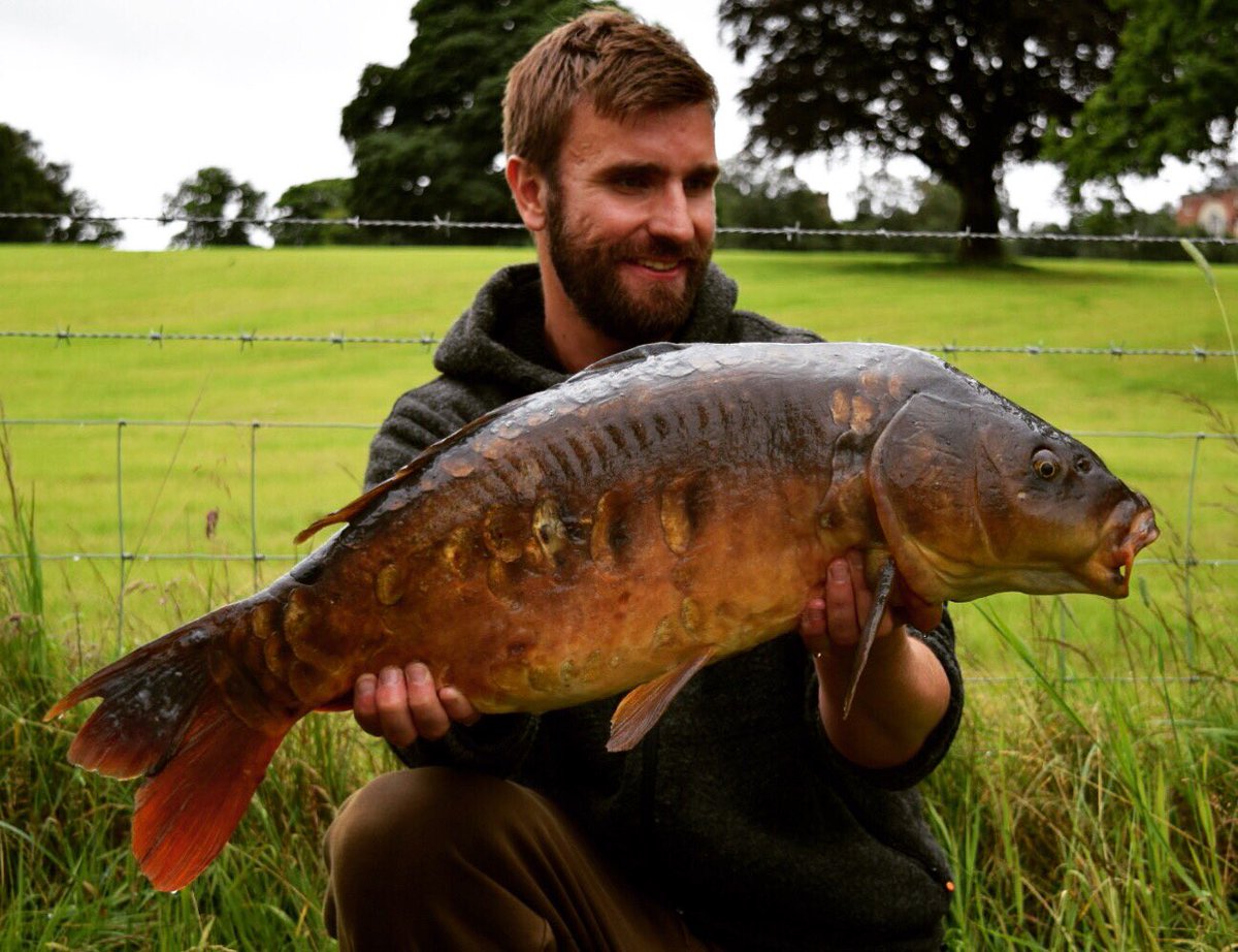 Managed to nab a couple from a short trip to the club lake. Biggest this 17lb old thing!
