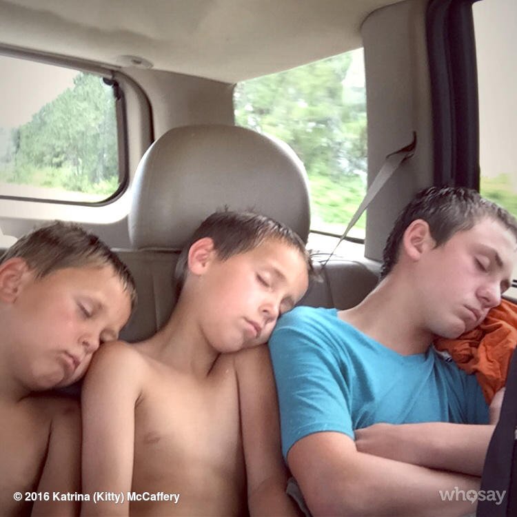 KittyMcCaffery's tweet photo. How cute is this? #mybabies #adorable #proudmommy #beachedout https://t.co/TH90CoMUwq