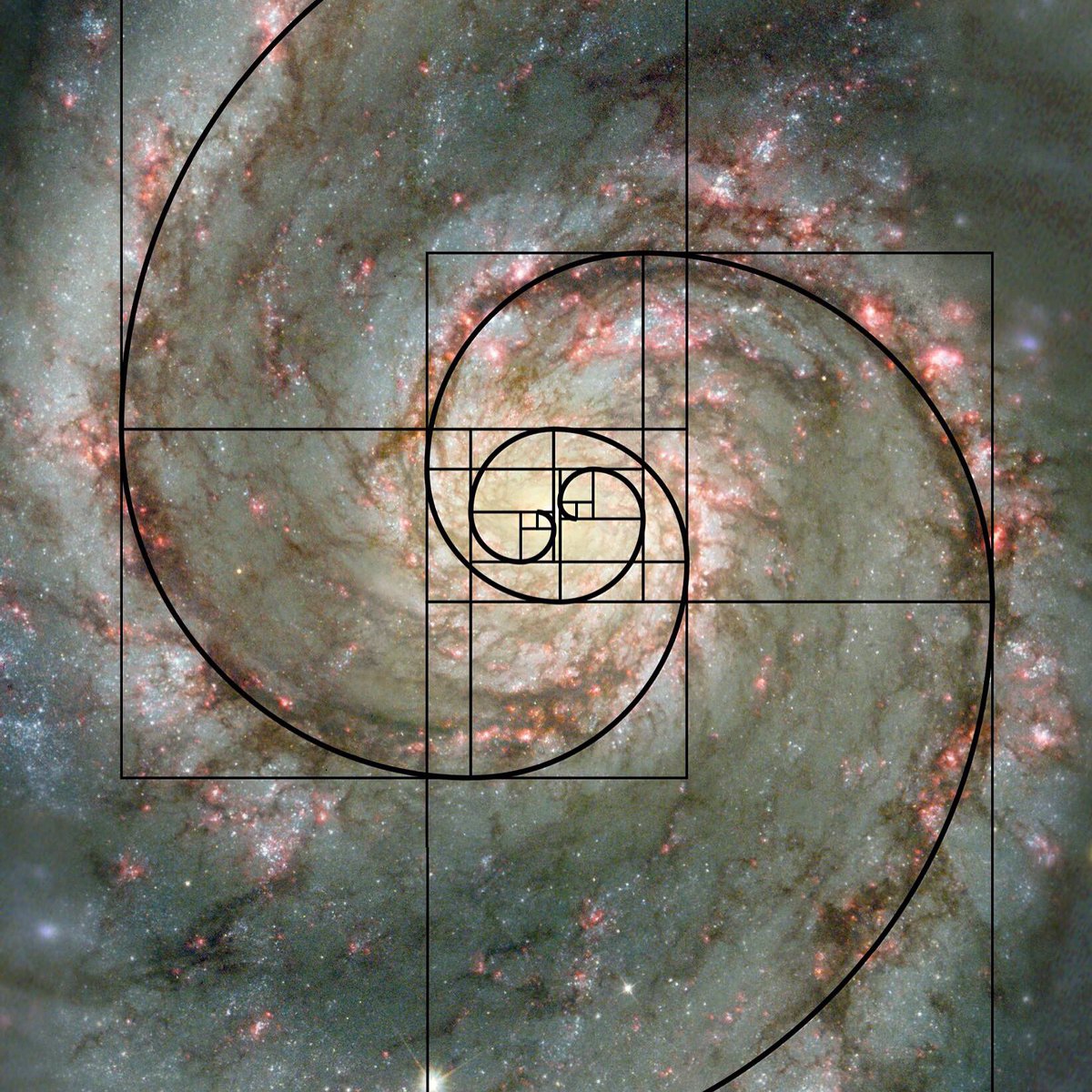 Phi_Fashion's tweet photo. Space. #sacredgeometry #solarsystem #fibinacci #stars #ourworld https://t.co/lvEgc0MCqF
