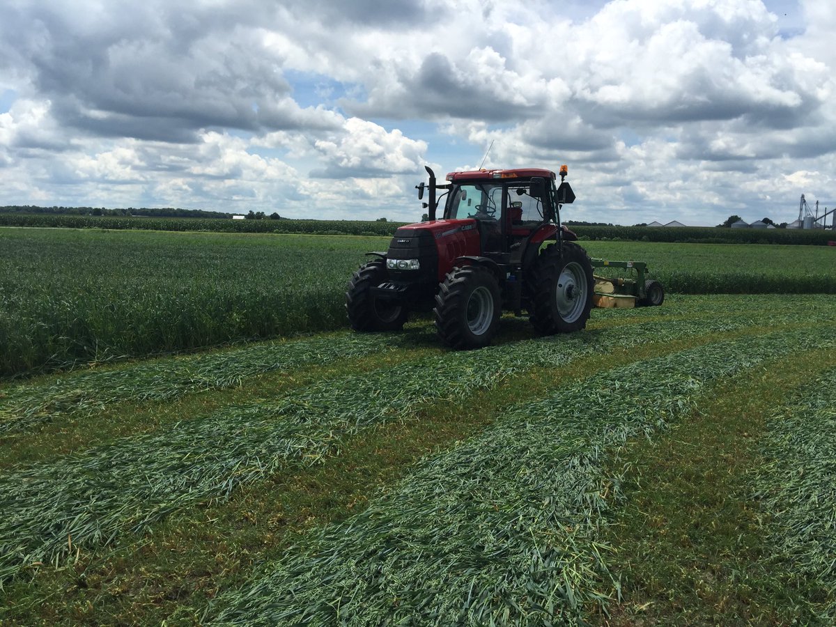 CageJosh's tweet photo. Forage oats and Barenbrug E34 Fescue &amp; Freedom Red Clover! Planted April 24th. Beef pasture! Bales will be wrapped! https://t.co/uWviayjWtW