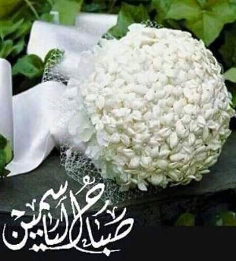 BotrosWalid's tweet photo. https://t.co/MmYzdpQ8Wq