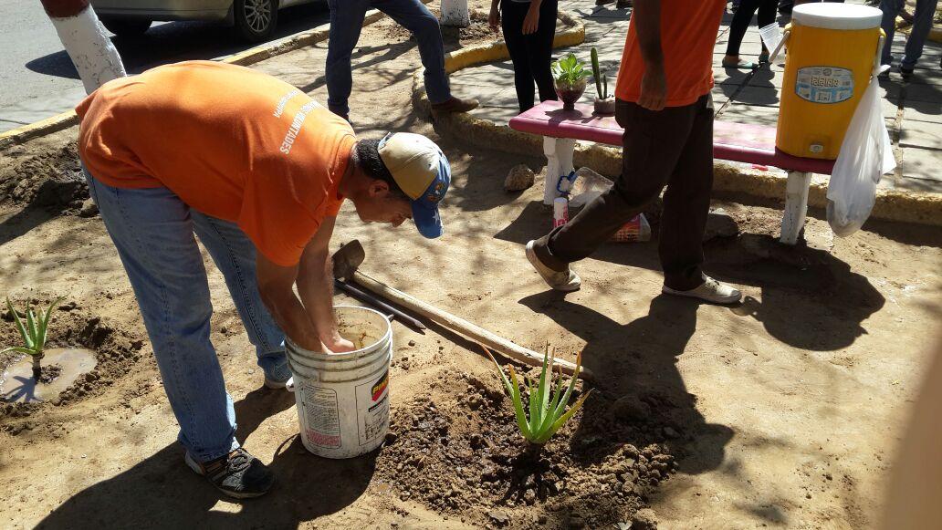 EcoPatrimonio_'s tweet photo. #HOY #9JUL Jornada Médico-Odontológica, Ecológica y Social. En la Plaza Libertad de Coro. @ecoVP https://t.co/GsNfqSNKZL
