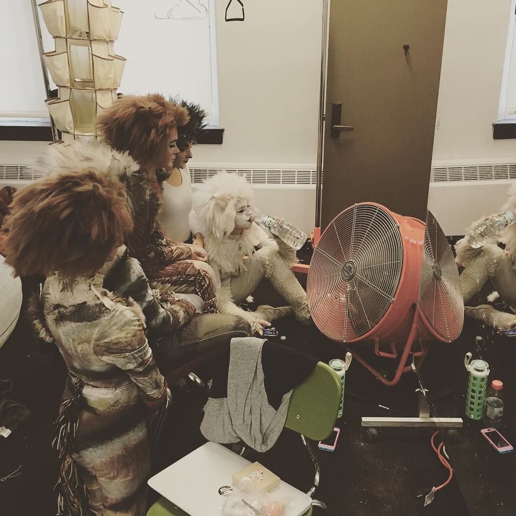 pdp_inc's tweet photo. What do Jellicle cats do during intermission? This. This is what we do. #cats #catsmusical #pdpled #pdpisfamily #PDP https://t.co/vum0lTJwli