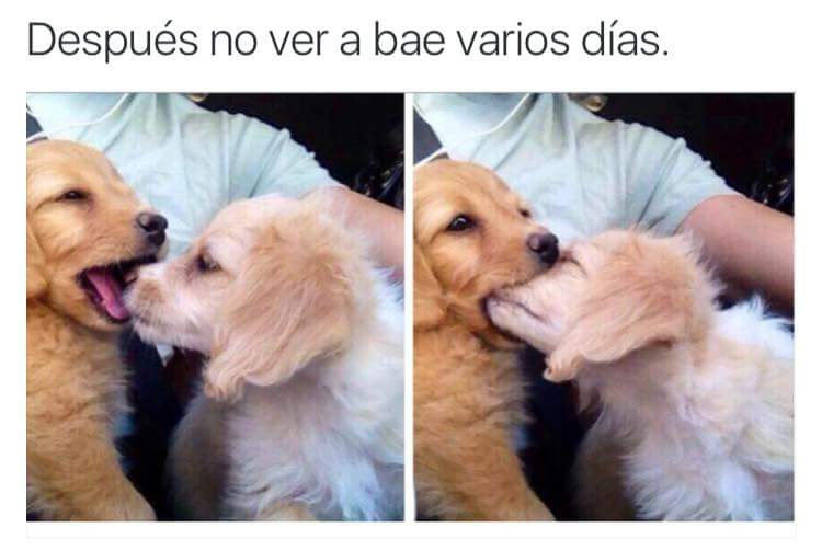 tuqueridasocia's tweet photo. Aww😊💜 https://t.co/X8dwpiaH84