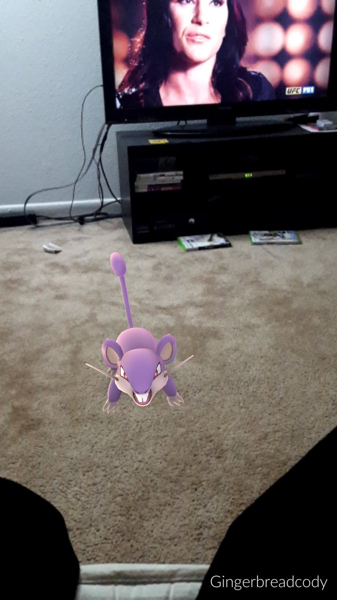 Gingerbreadcody's tweet photo. Damn rat got in to my living room https://t.co/cnrX4zNUb4