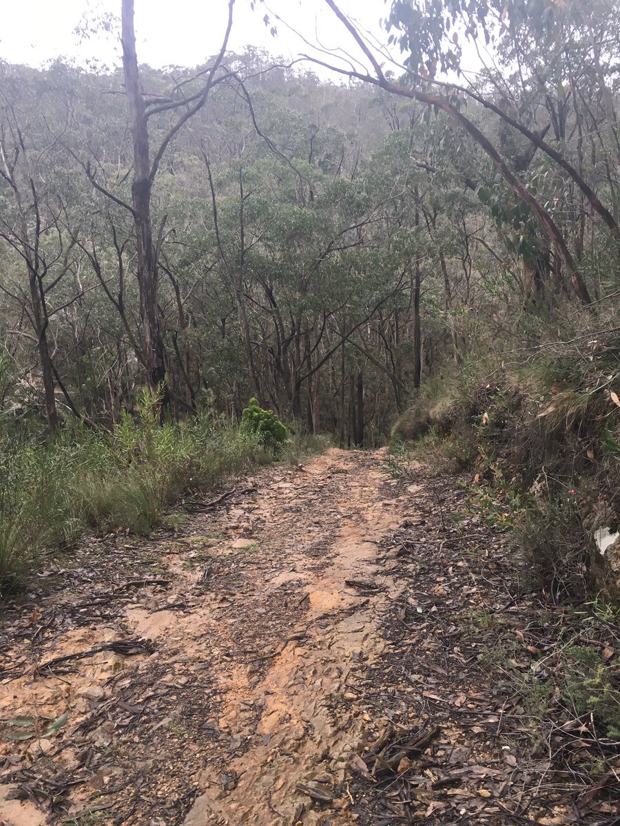 LukeBettany's tweet photo. Downhill adventure #holdontight https://t.co/xlfYt8fAlZ