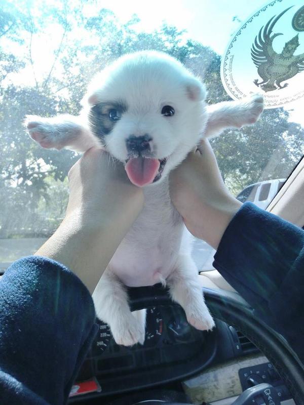 BabyAnimalsPicz's tweet photo. fat baby2 https://t.co/iGTZjyfnft