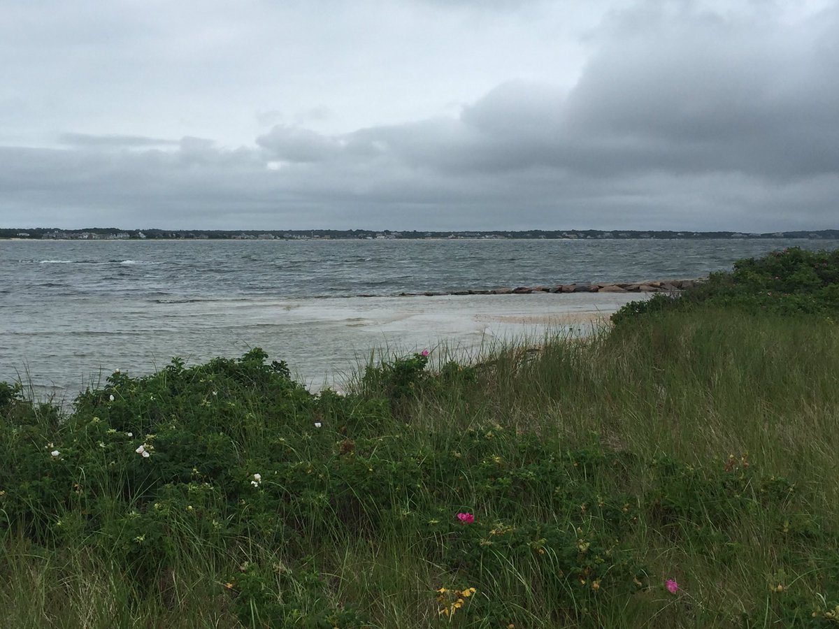 JasonKolnos's tweet photo. So what if it's a cloudy day, I'll go to the beach in any weather on #CapeCod #dowses #osterville https://t.co/tEaX01pdI6