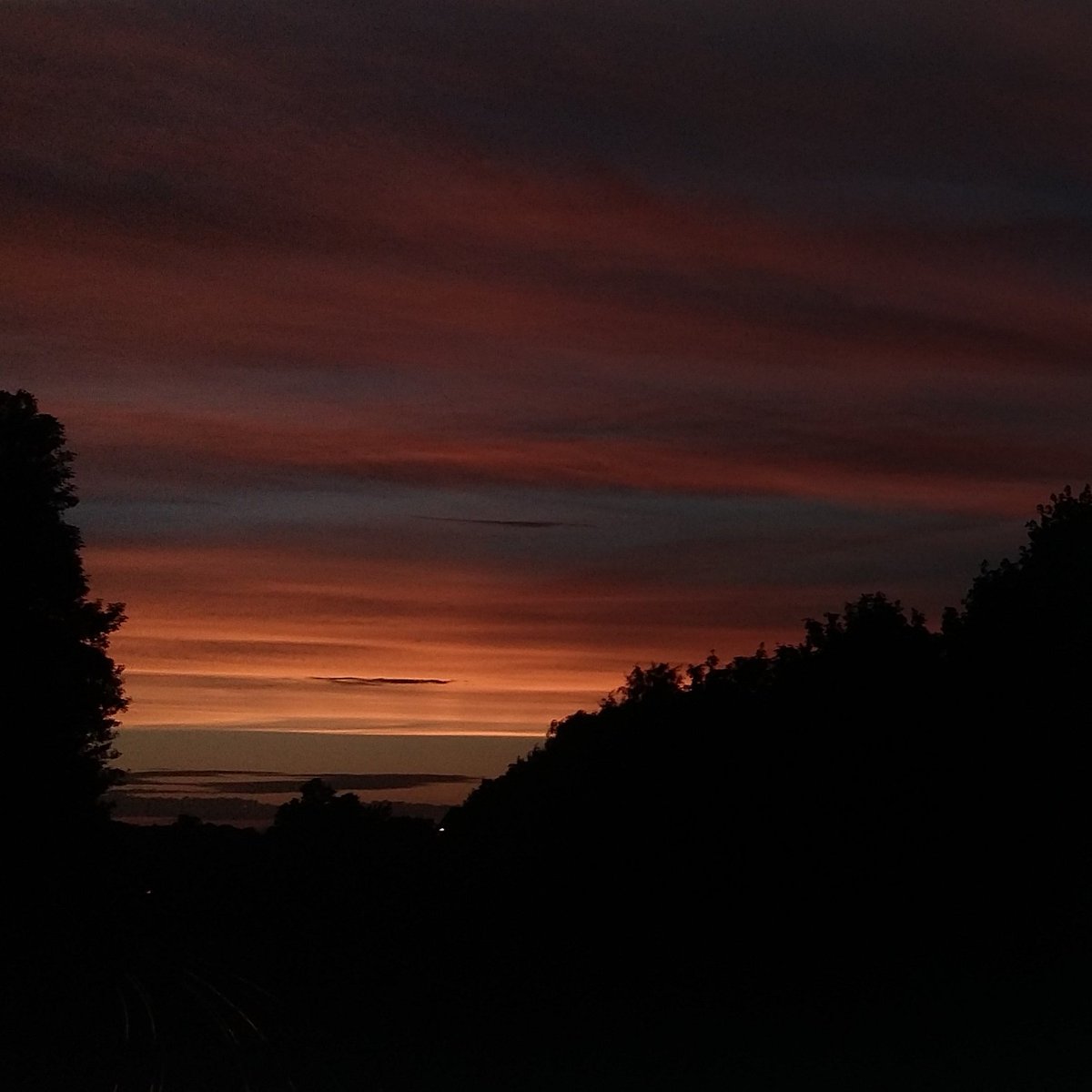 eatartdaily's tweet photo. Don't forget to write.

#writingstips #writteninsunsets https://t.co/PZ2l0KrkHK