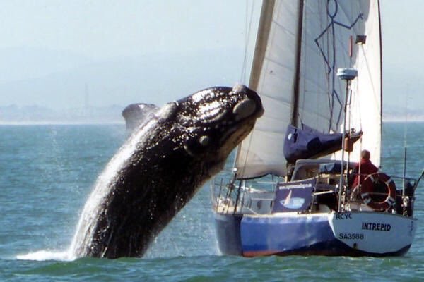 I honestly thought I had it.