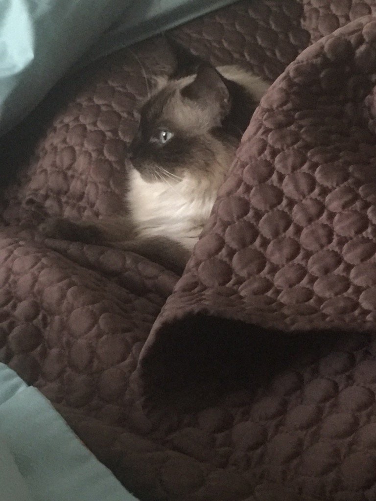 WLW9's tweet photo. My buddy. https://t.co/3rLWhxIv7Z