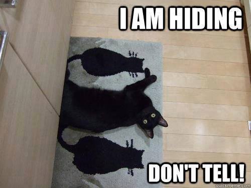 catsnkittys's tweet photo. Clever cat !! https://t.co/zChYynPzoU