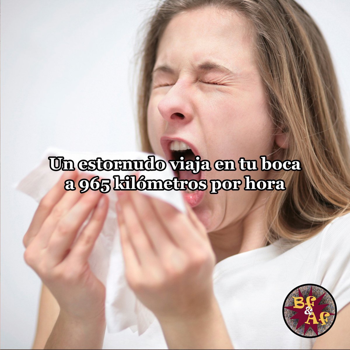 bafftw's tweet image. 