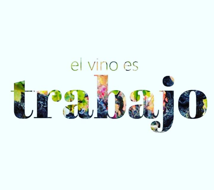 JoseRafaArango's tweet photo. Por el derecho al trabajo. El vino es una enorme fuente de trabajo en Colombia #vinoparatodos @harry_mateus https://t.co/otE1Ox4Ntl