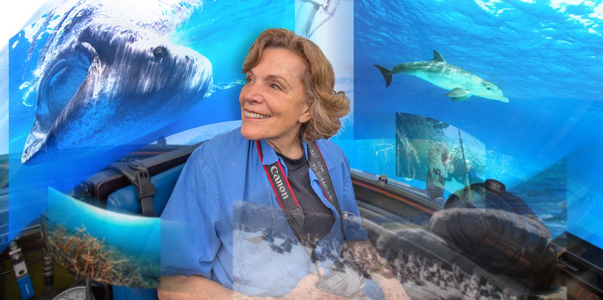 GoShowCase's tweet photo. @SylviaEarle Earle and Mission Blue: The Blue Heart of Our Planet... https://t.co/fz8BYTQSsa https://t.co/QiwfwULCmf