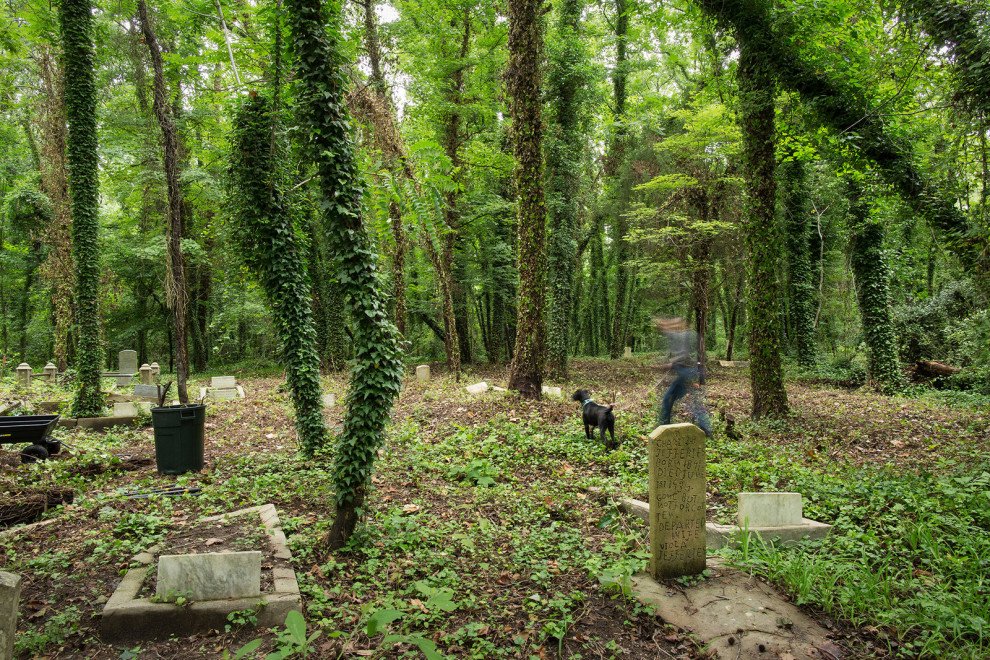BuzzFeedNews's tweet image. These Abandoned Black Cemeteries Were Long Forgotten — Until Now buzzfeed.com/bxpnyc/abandon…