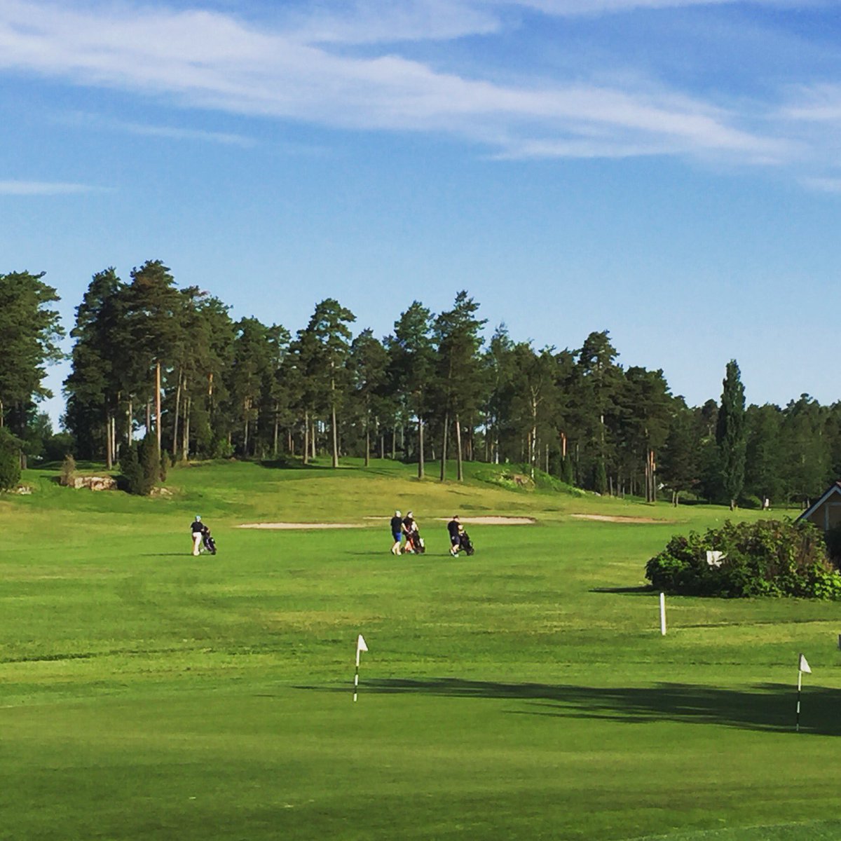 argcgolf tweet picture