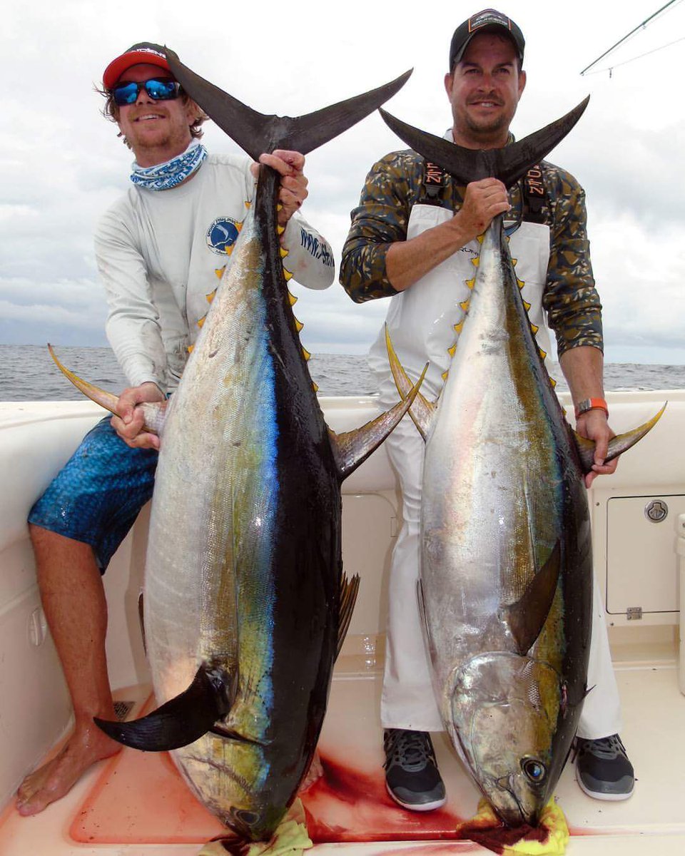 SCALESGEAR's tweet photo. #SCALESproteam member SteveO & Ozzy w/ Grunden's with impressive #YellowfinTunas #fishpanama #wildbill #scalesgear https://t.co/IKBS3pTWW8