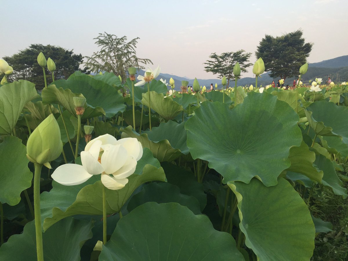 '행복한 가정은 미리 누리는 천국이다'