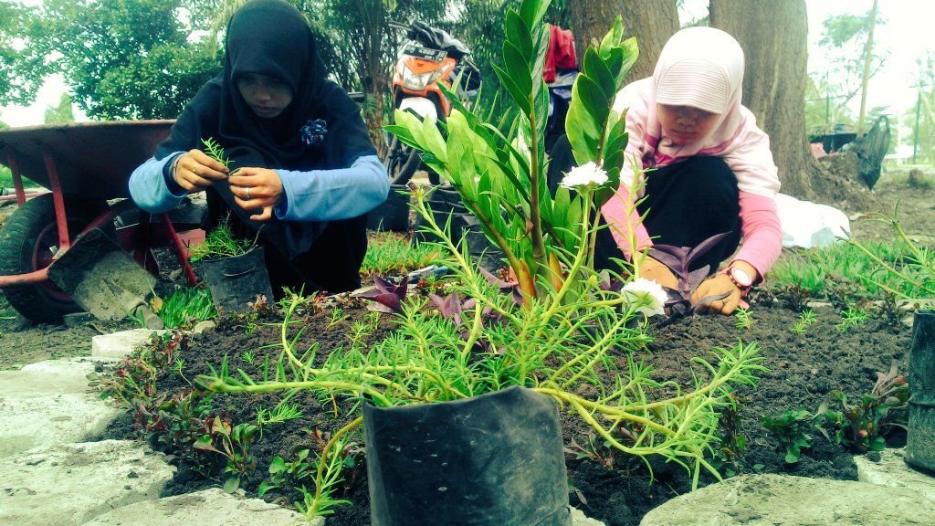 Creative_Circl's tweet photo. Yuk puasa-puasa terus #Urbanfarming daripada diem-diem. @GPSbdg @IDberkebun @greenerationid @Kota_Pekanbaru https://t.co/dmL6hmNIG4