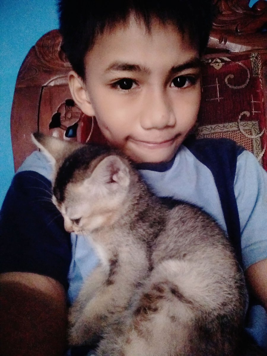 DikasMuh's tweet photo. 😸😸😺😽 https://t.co/8QGPNj62Yr