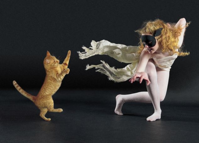 PLC_Singapore's tweet photo. Cat caption - Cat dances with her master.
#CatDance #CatImages #CatCaption https://t.co/Dhp9rsDqo6