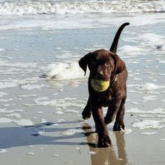 dakotapets's tweet photo. https://t.co/b3tTJU0grb