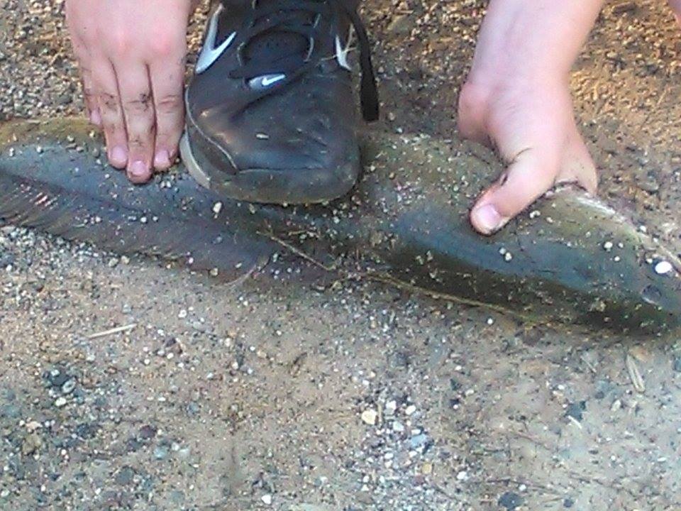 _ScootersFoLife's tweet photo. Went to Long Lake an guess what i cought a massive dogfish #unexpected https://t.co/6Vw1fhMulI