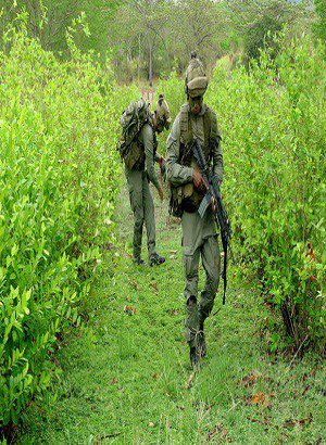 FullstreamHd's tweet image. Pour en finir avec la guerre des drogues en streaming full-streamhd.com/pour-en-finir-…