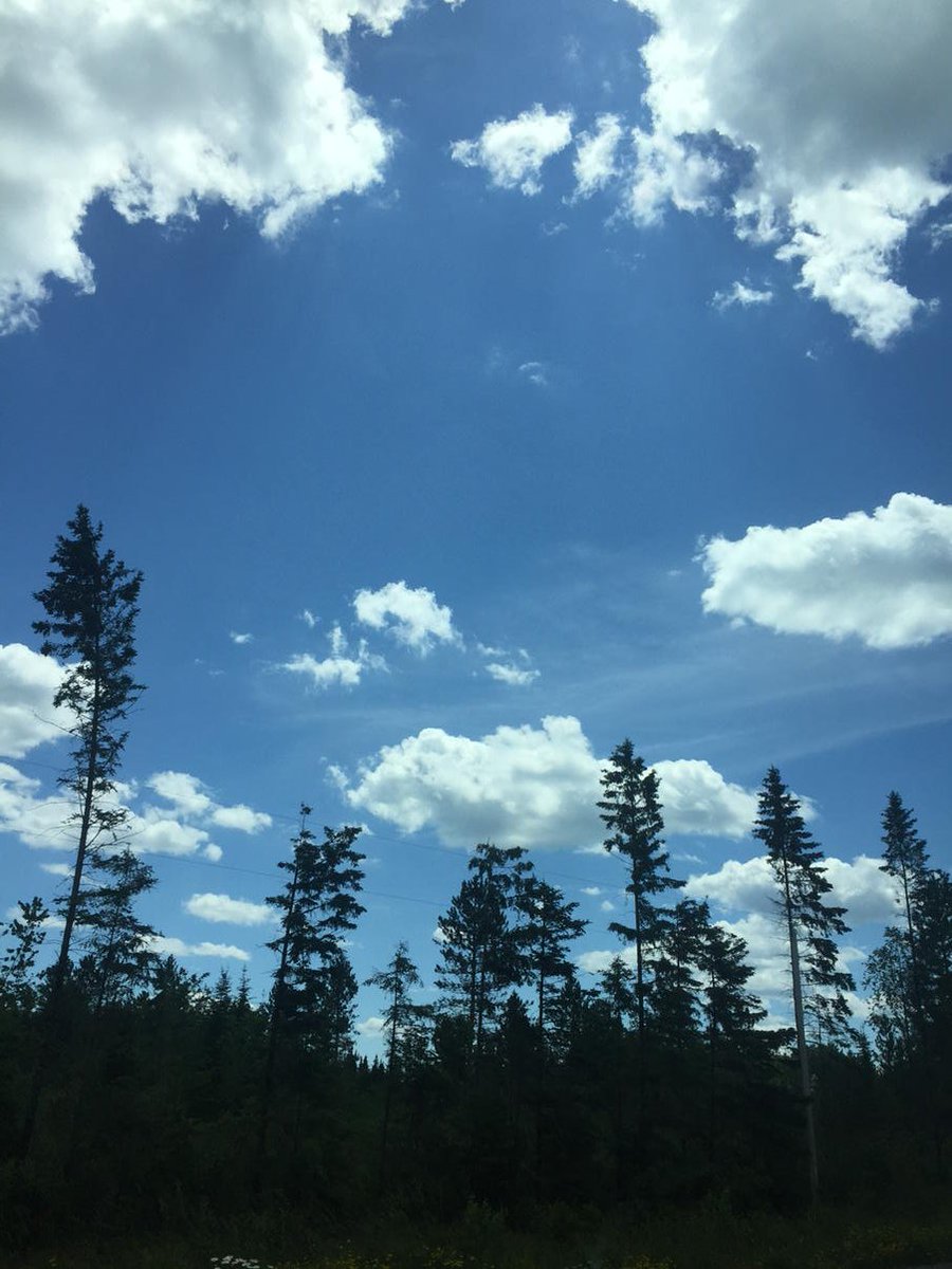 Happy to spend time in Vilas County working with lake associations on actionable lake management plans. #1500lakes