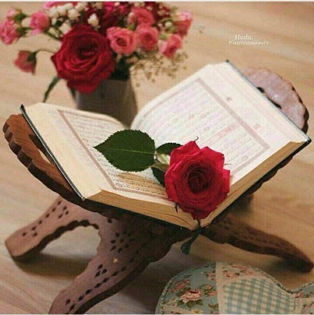 ratool144's tweet photo. صباح التفاؤل ونفوس راضية https://t.co/sDXfVCn10G