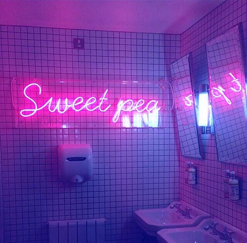 sortaesthetic tweet picture