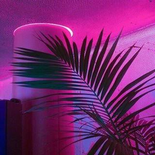 sortaesthetic tweet picture