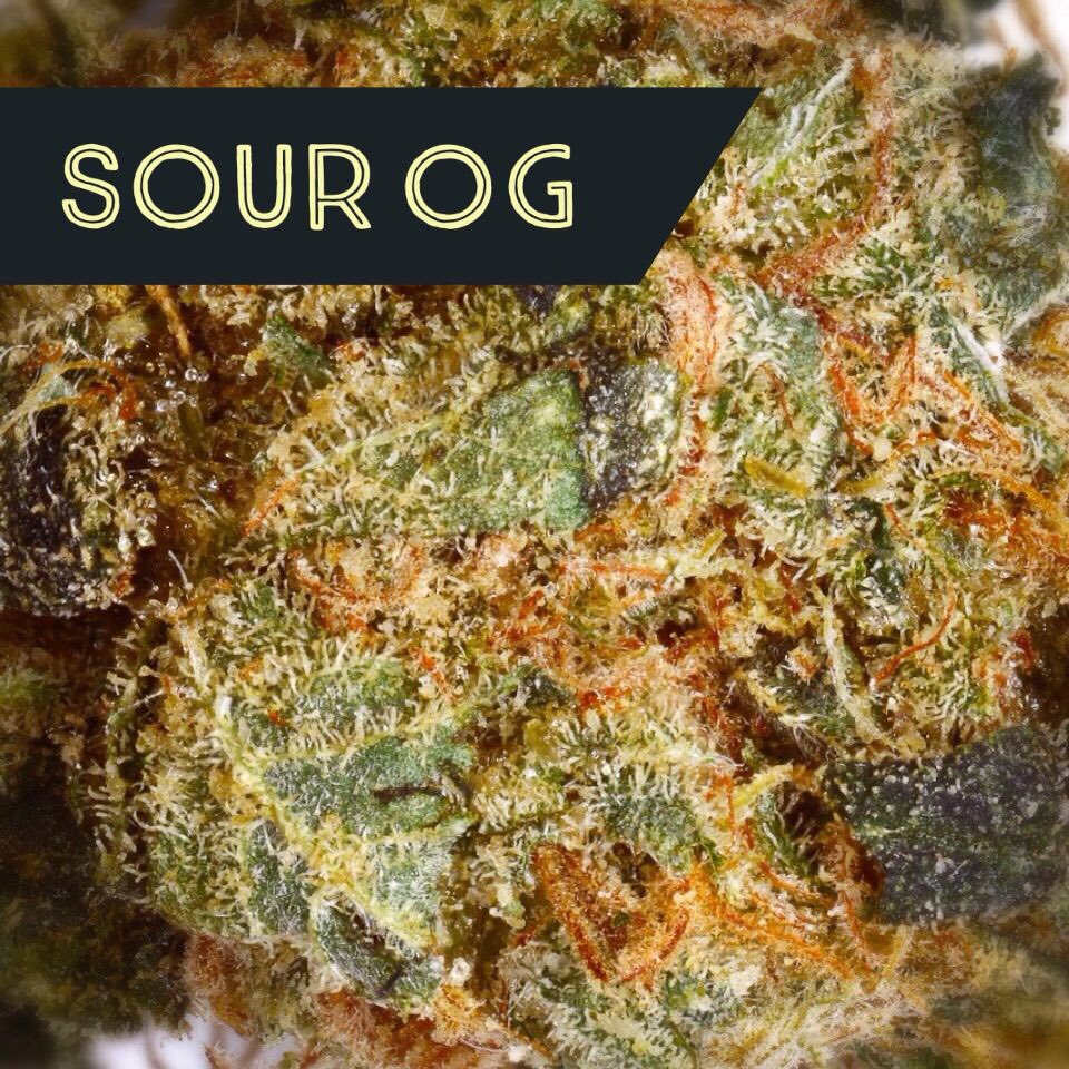 GoldenNugget___'s tweet photo. SOUR OG Starts with an energetic head high that gradually gives way to a relaxing body stone!! https://t.co/x359sRa1mz