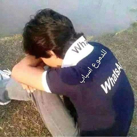 5503949882 tweet media