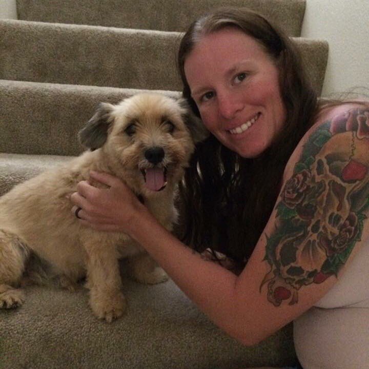 HIDogFoundation's tweet photo. Pumba and Lisa on the sleep over. Can't get better than loves and AC. Good luck! #foreverhome #HDF #doggielove https://t.co/Llyhwnv8yU