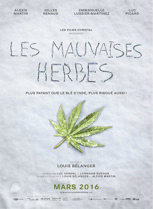 FullstreamHd's tweet image. Les mauvaises herbes en streaming full-streamhd.com/les-mauvaises-…