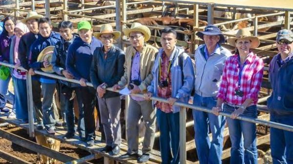 Australia Beri Beasiswa Kursus Bisnis Bagi Warga Indonesia detik.id/6avUDY