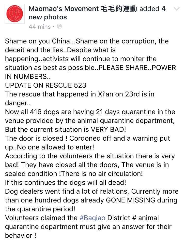 _elizabeach1's tweet image. 🆘 URGENT #623 🆘 QUARANTINE CORRUPTION #DOGS SEALED OFF W/ NO AIR/WATER❗️100 MISSING❗️ #CHINA
m.facebook.com/story.php?stor…
