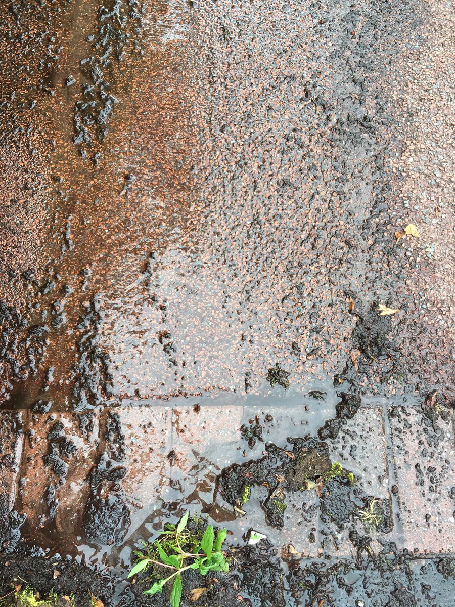 Extreme Patio Clean™ tweet media